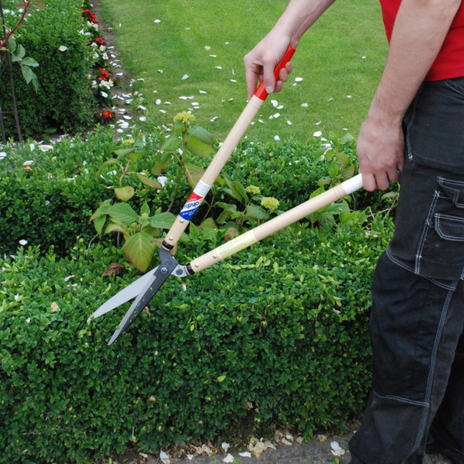 Okatsune Hedge Shears - Thumbnail 5